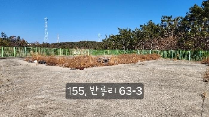 반룡리 63-3