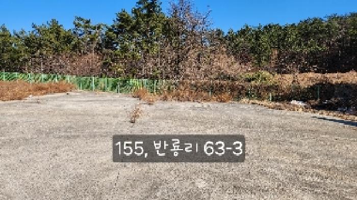 반룡리 63-3
