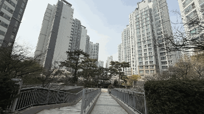 본건 소재 단지 전경