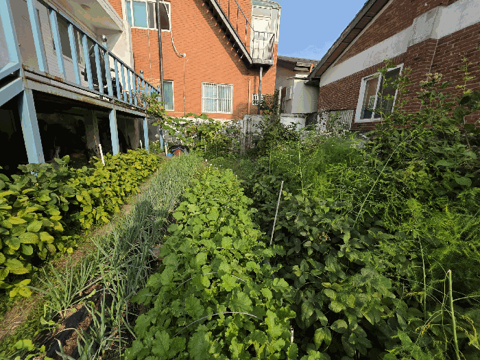 본건 토지 전경