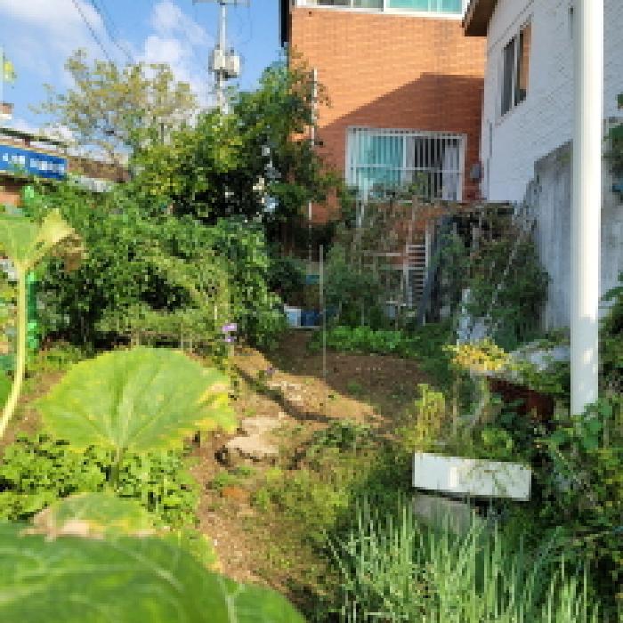 목록1 토지 전경(일부 밭으로 이용하고 있음)