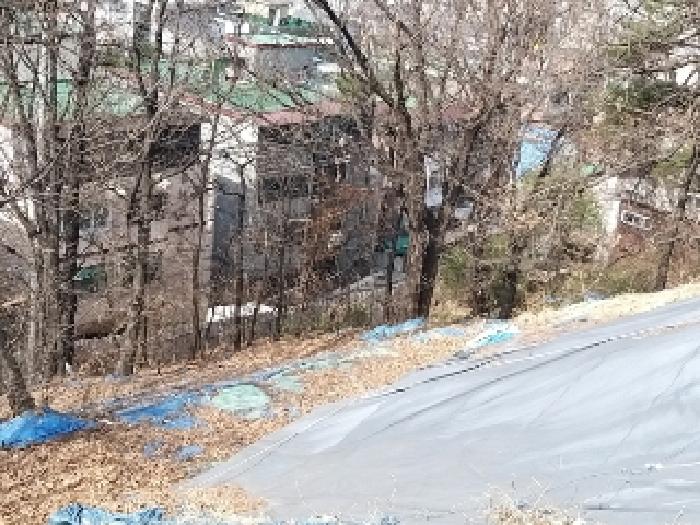 토지 전경2