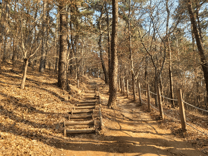 일부 등산로 현황