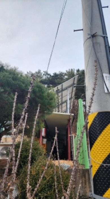 부동산의 표시