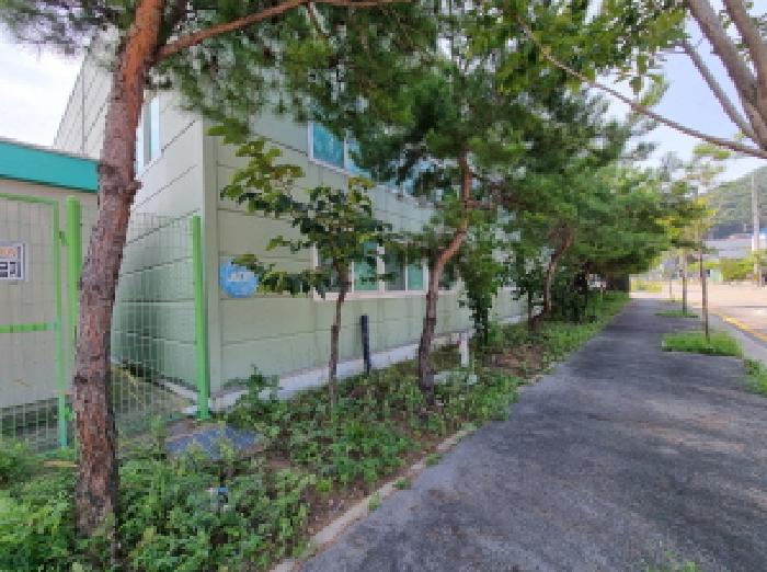 제시외 수목(서쪽면 위치)