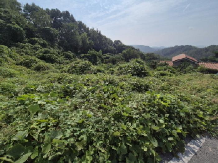 목록2 전경