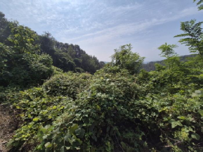 목록1 전경