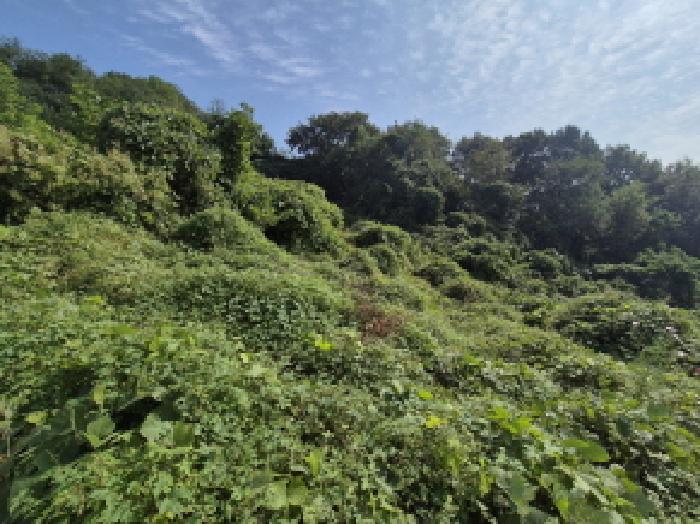 목록1 전경
