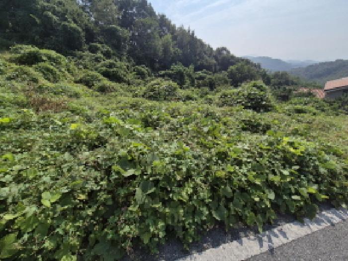 목록2 전경