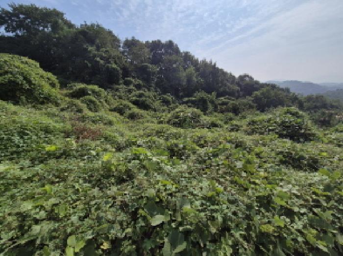 목록2 전경