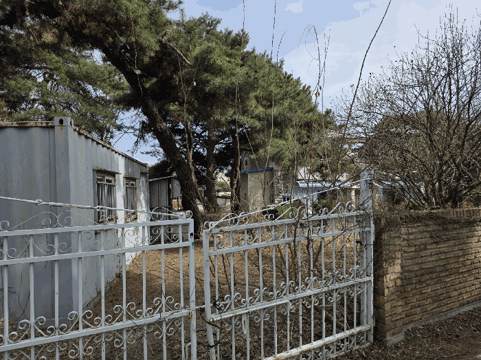 기호(1)토지상 소나무 등 전경