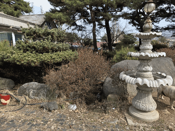 기호(1)토지 내 연못이 있던 부분 전경