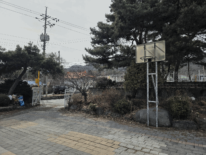 기호(1)토지 전경