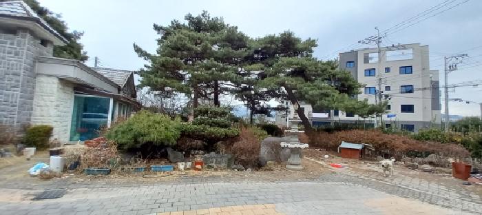 본건 부동산 전경