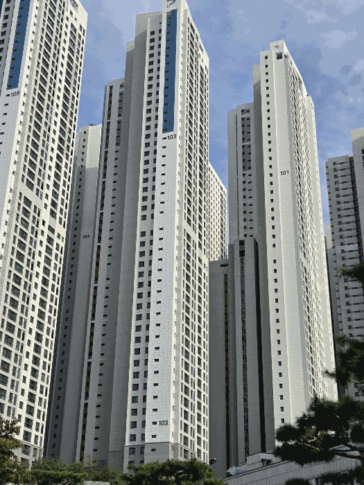 대상동(103동) 전경