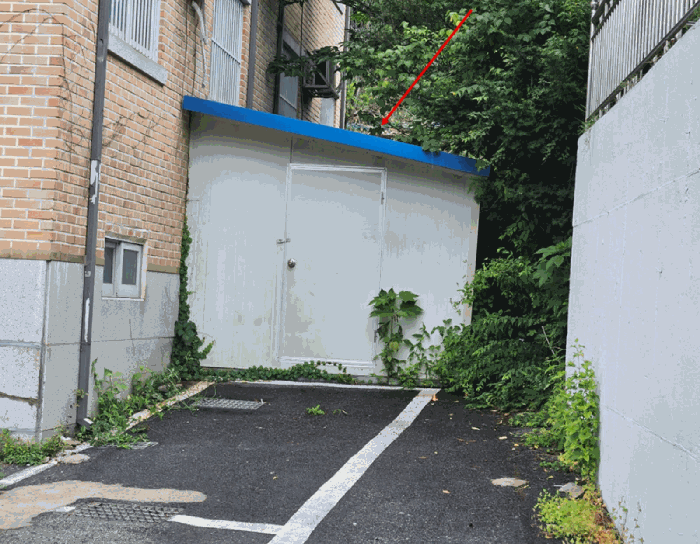 제시와 건물 ㉠