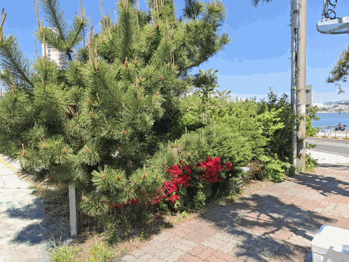 제시외 화단 기