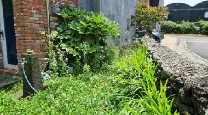 소재지1(명림로 268-6 몽돌빌리지120동) 전경1