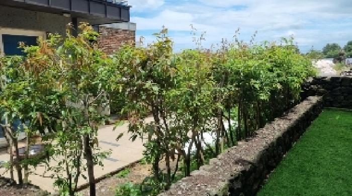 소재지1(명림로 268-6 몽돌빌리지120동) 전경2