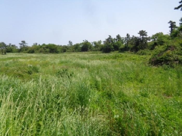 소재지 2.(명월리 1296-1) 전경