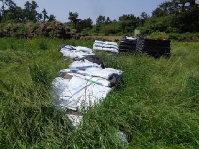 소재지 3.(명월리 1296-2) 야적되어 있는 가축분퇴비 사진