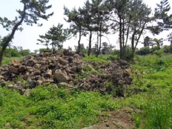 소재지 5.(명월리 1298) 전경