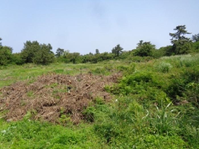 소재지 6.(명월리 1307) 전경