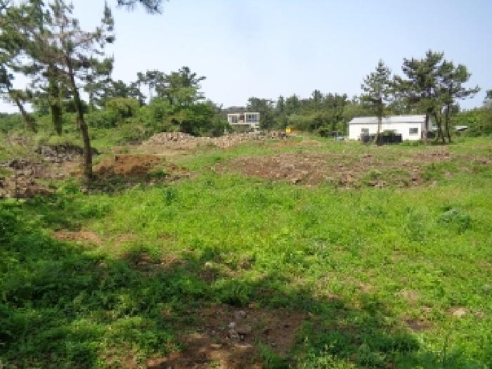 소재지 6.(명월리 1307) 전경