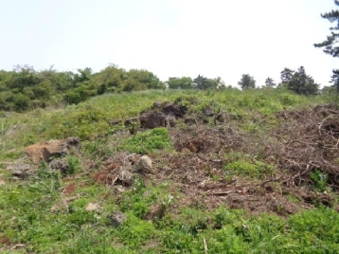 소재지 6.(명월리 1307) 전경