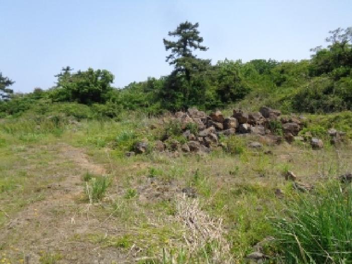 소재지 6.(명월리 1307) 전경