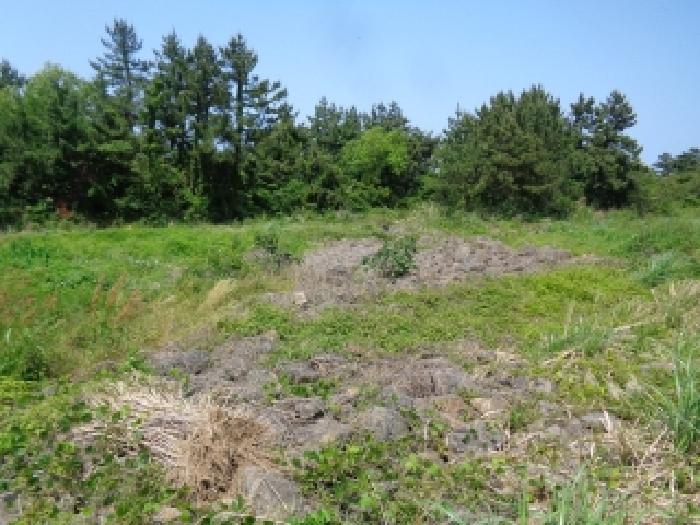 소재지 6.(명월리 1307) 전경