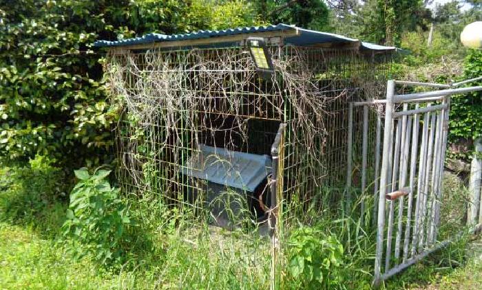 소재지 1.(명월리 1303-1) 제시외 건물 `ㄱ`