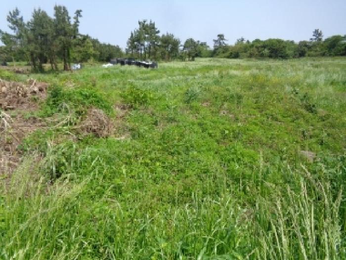 소재지 2.(명월리 1296-1) 전경