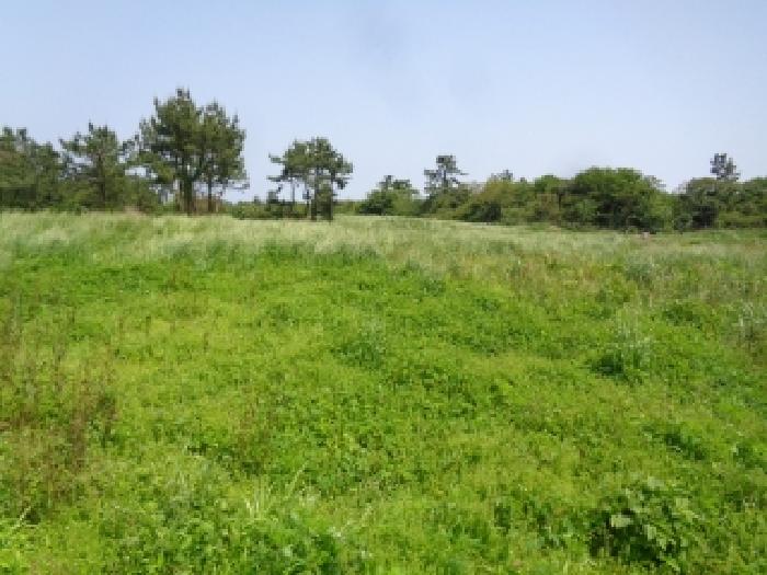 소재지 4.(명월리 1297) 전경