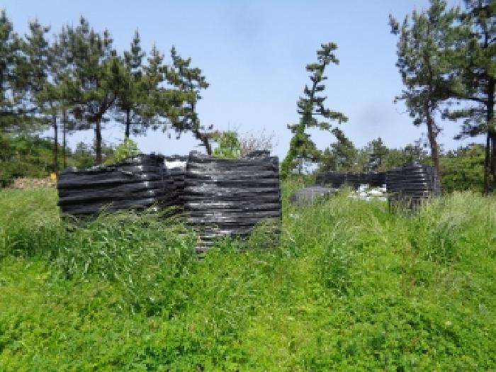 소재지 4.(명월리 1297) 야적되어 있는 가축분퇴비 사진