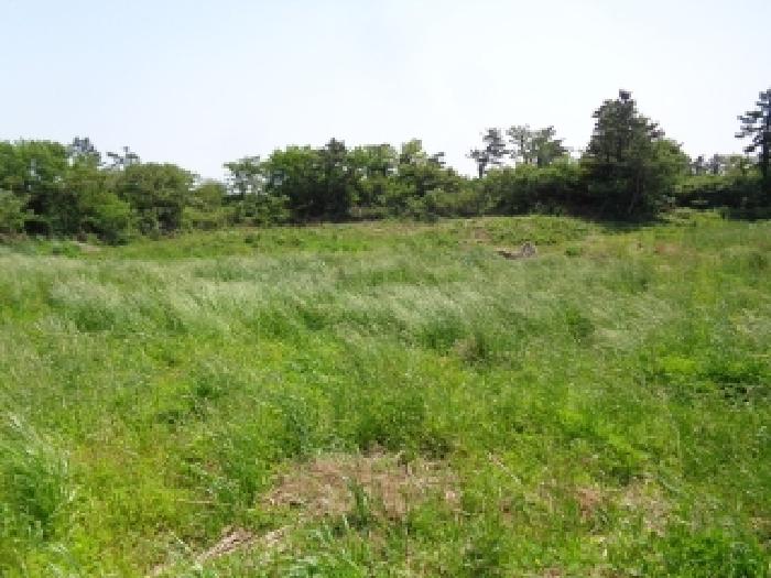 소재지 4.(명월리 1297) 전경