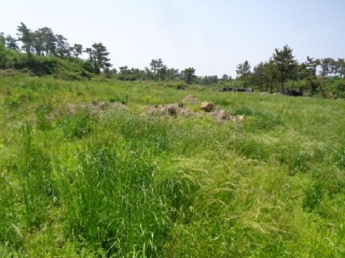 소재지 4.(명월리 1297) 전경