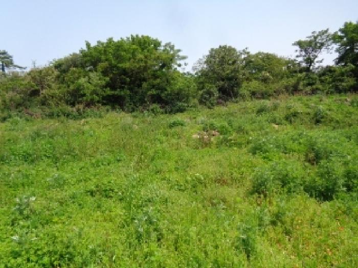 소재지 4.(명월리 1297) 전경