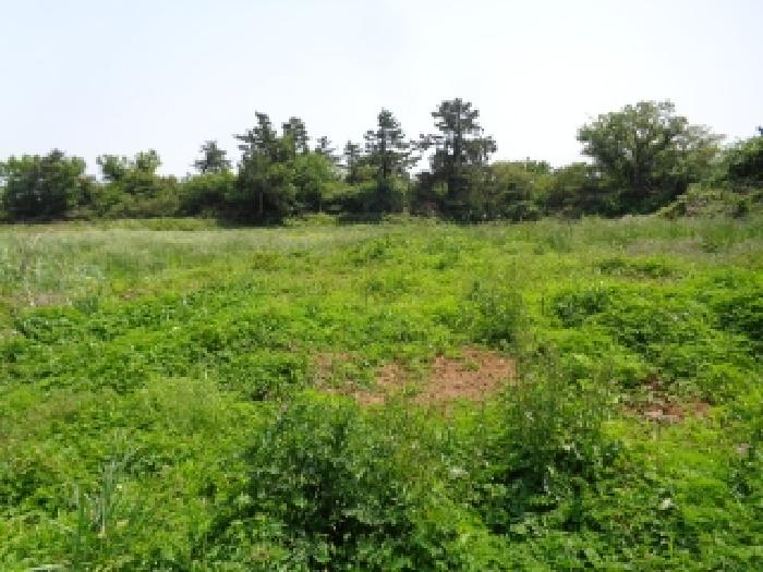 소재지 4.(명월리 1297) 전경