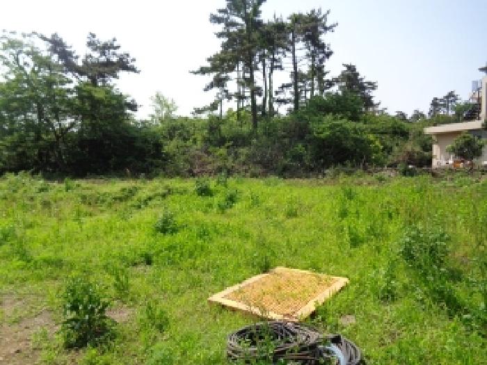 소재지 1.(명월리 1303-1) 전경