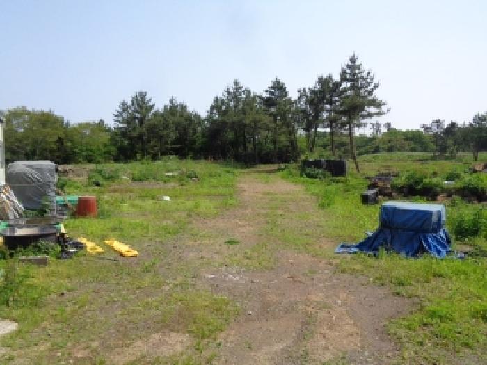 소재지 1.(명월리 1303-1) 전경