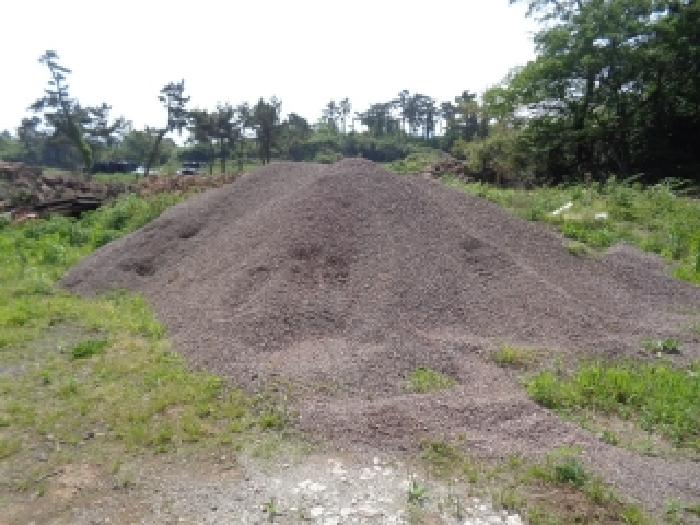 소재지 1.(명월리 1303-1) 전경