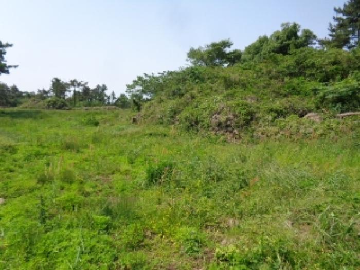 소재지 3.(명월리 1296-2) 전경