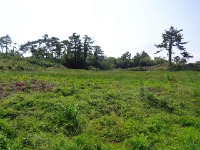 소재지 3.(명월리 1296-2) 전경