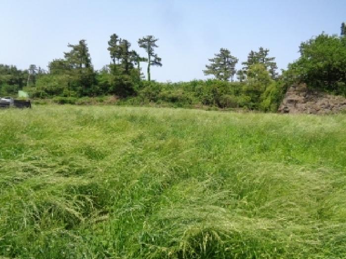 소재지 3.(명월리 1296-2) 전경