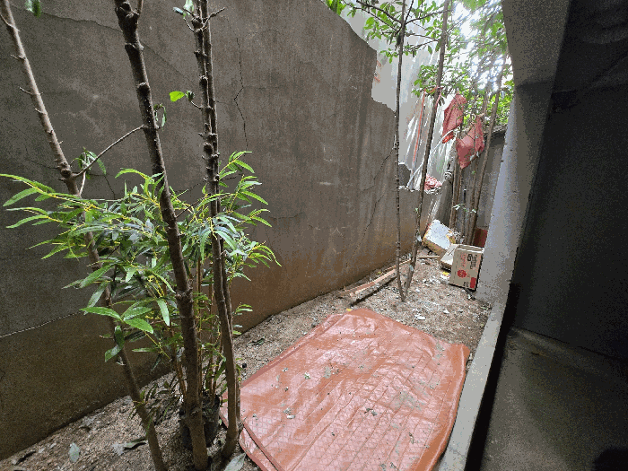 화단 및 조경수