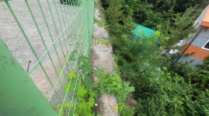 본건1 토지 일부 법면