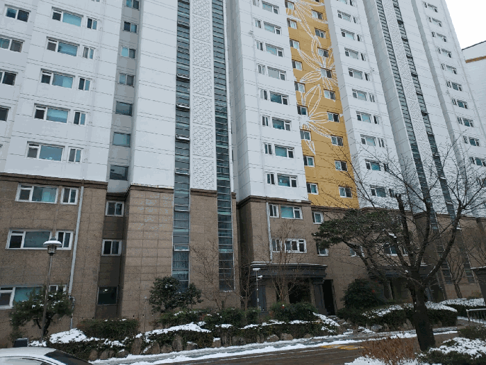 본건전경(후면)