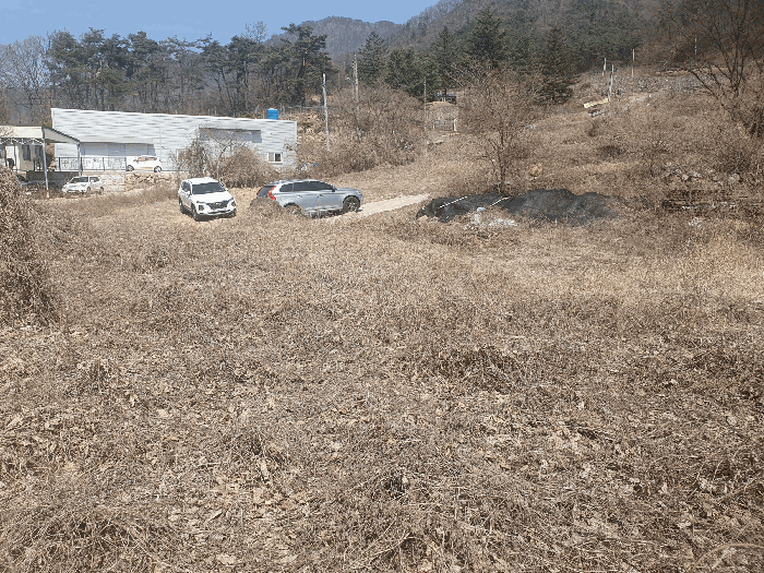 본건 전경