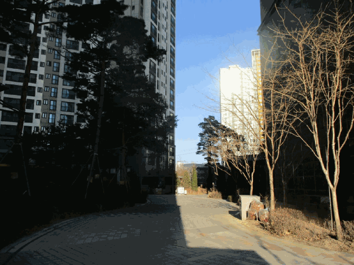 단 지 내 환 경